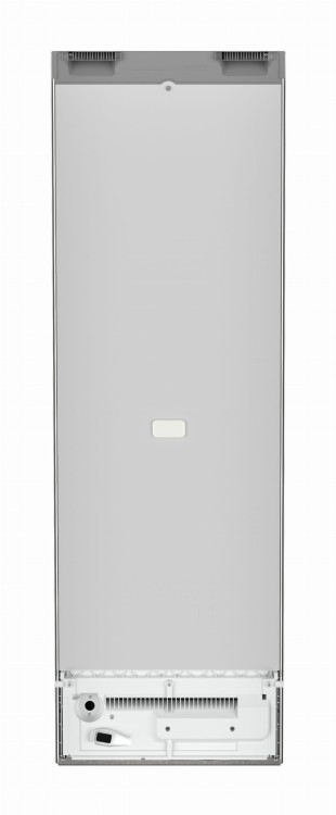 SFNsfd 5247 (3).jpg