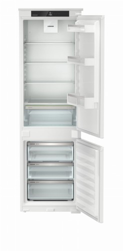 IKGNS 51Vd03 (2).jpg