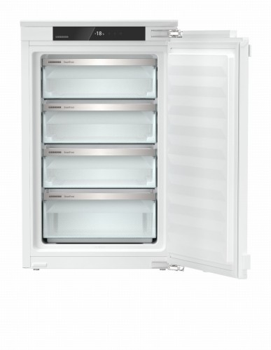 IFd 3904 (2).jpg