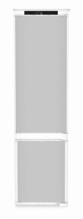 ICBNSd 5623 (2).jpg