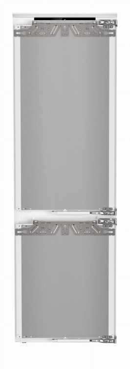 ICBNci 5183 (4).jpg