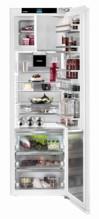 IRBAc 5171 (7).jpg
