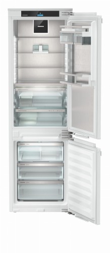 ICBNdi 5173 (2).jpg