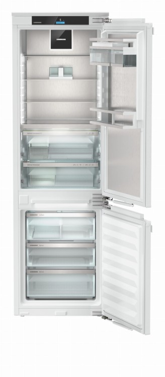 ICBNdi 5173 (2).jpg