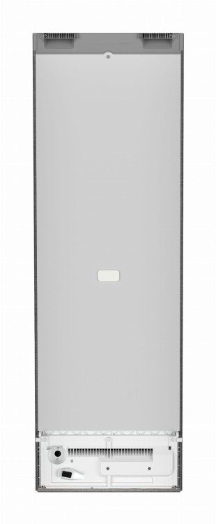 SFNstd 529i (2).jpg