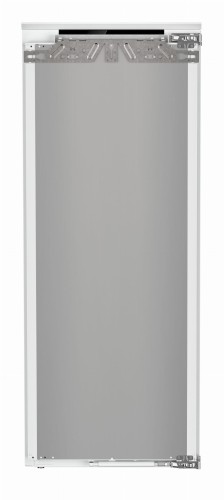 IRBci 4551 (1).jpg
