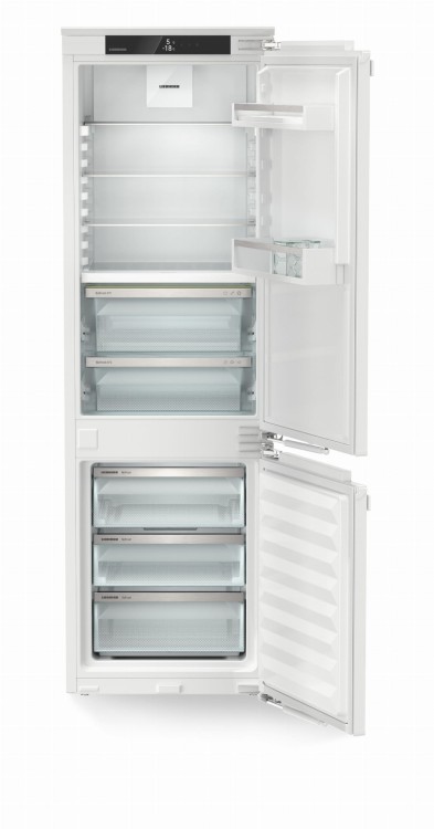 ICBNdi 5123 (4).jpg