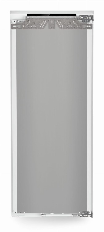 IRBci 4550 (5).jpg