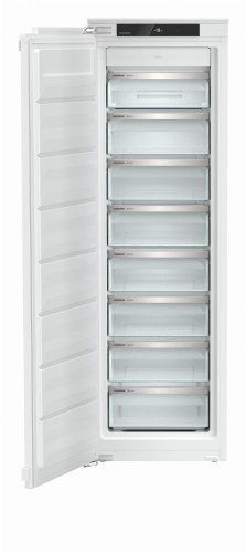 SIFNe 5108 (2).jpg