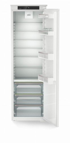 IRBSd 5120 (3).jpg
