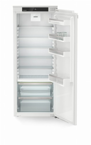 IRBc 4520 (3).jpg