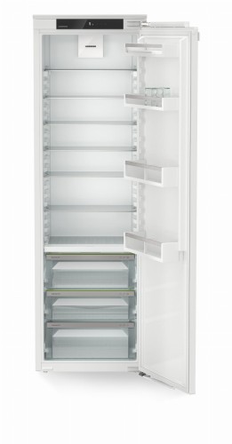 IRBd 5120 (3).jpg