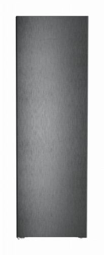 SFNbdd 5227.jpg