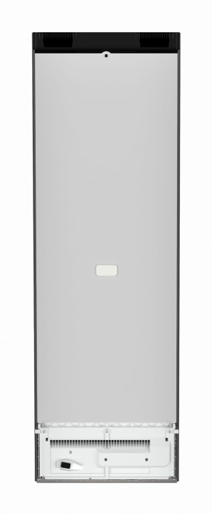 SFNbdd 5227 (3).jpg
