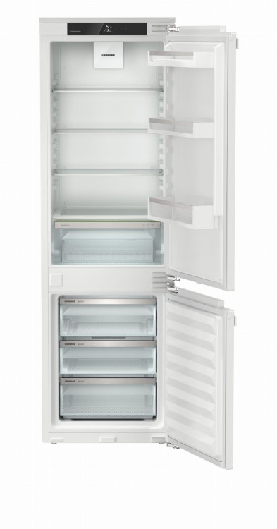 ICNd 5103 (2).jpg