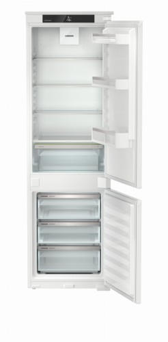 IKGS 51Ve03 (2).jpg