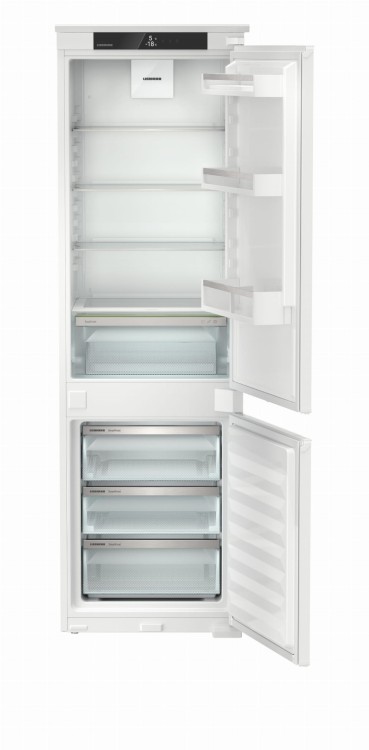 IKGS 51Ve03 (2).jpg